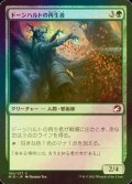 [FOIL] ドーンハルトの再生者/Dawnhart Rejuvenator 【日本語版】 [MID-緑C]