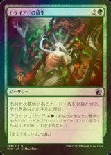 [FOIL] ドライアドの蘇生/Dryad's Revival 【日本語版】 [MID-緑U]