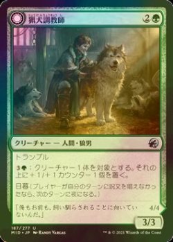 画像1: [FOIL] 猟犬調教師/Hound Tamer 【日本語版】 [MID-緑U]