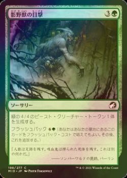 画像1: [FOIL] 影野獣の目撃/Shadowbeast Sighting 【日本語版】 [MID-緑C]