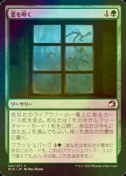 画像1: [FOIL] 窓を叩く/Tapping at the Window 【日本語版】 [MID-緑C]