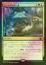 [FOIL] カエル声の写し身/Croaking Counterpart 【日本語版】 [MID-金R]