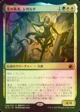 [FOIL] 光の勇者、シガルダ/Sigarda, Champion of Light (海外産ブースター版) 【日本語版】 [MID-金MR]