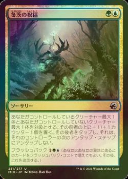 画像1: [FOIL] 冬茨の祝福/Winterthorn Blessing 【日本語版】 [MID-金U]