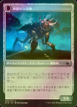 画像2: [FOIL] 神秘の頭蓋骨/Mystic Skull 【日本語版】 [MID-灰U]