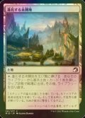 [FOIL] 進化する未開地/Evolving Wilds 【日本語版】 [MID-土地C]