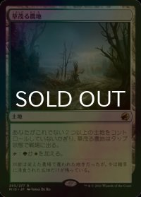 [FOIL] 草茂る農地/Overgrown Farmland 【日本語版】 [MID-土地R]