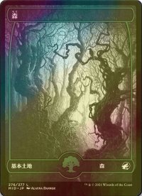 [FOIL] 森/Forest No.276 (海外産ブースター版) 【日本語版】 [MID-土地C]