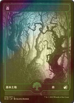 画像1: [FOIL] 森/Forest No.276 (海外産ブースター版) 【日本語版】 [MID-土地C]