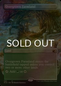 [FOIL] 草茂る農地/Overgrown Farmland (全面アート・海外産ブースター版) 【英語版】 [MID-土地R]