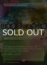 [FOIL] 草茂る農地/Overgrown Farmland ● (全面アート・日本産ブースター版) 【英語版】 [MID-土地R]