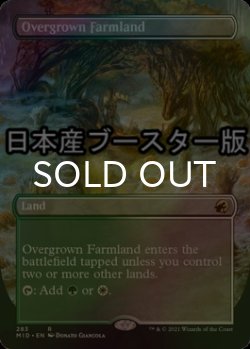 画像1: [FOIL] 草茂る農地/Overgrown Farmland ● (全面アート・日本産ブースター版) 【英語版】 [MID-土地R]