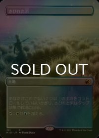 [FOIL] さびれた浜/Deserted Beach (全面アート・海外産ブースター版) 【日本語版】 [MID-土地R]