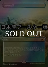 [FOIL] さびれた浜/Deserted Beach ● (全面アート・日本産ブースター版) 【日本語版】 [MID-土地R]