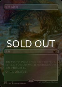 [FOIL] 草茂る農地/Overgrown Farmland (全面アート・海外産ブースター版) 【日本語版】 [MID-土地R]