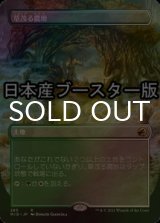 [FOIL] 草茂る農地/Overgrown Farmland ● (全面アート・日本産ブースター版) 【日本語版】 [MID-土地R]