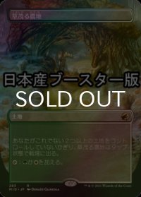 [FOIL] 草茂る農地/Overgrown Farmland ● (全面アート・日本産ブースター版) 【日本語版】 [MID-土地R]