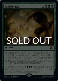 収穫祭の襲撃/Storm the Festival 【日本語版】 [MID-緑R]