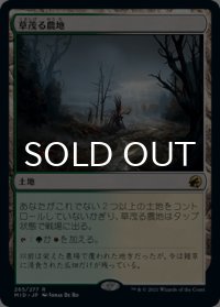草茂る農地/Overgrown Farmland 【日本語版】 [MID-土地R]
