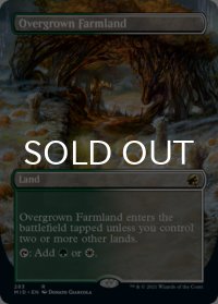 草茂る農地/Overgrown Farmland (全面アート版) 【英語版】 [MID-土地R]