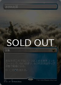 さびれた浜/Deserted Beach (全面アート版) 【日本語版】 [MID-土地R]