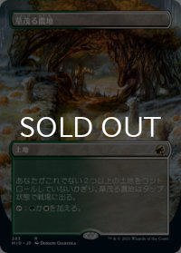 草茂る農地/Overgrown Farmland (全面アート版) 【日本語版】 [MID-土地R]