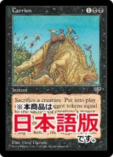 屍肉/Carrion (MIR/黒R/日/通常/NM) ※詳細要確認