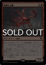 扇動する蟻/Agitator Ant 【日本語版】 [MKC-赤R]