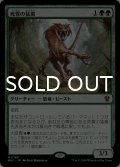 死霧の猛禽/Deathmist Raptor 【日本語版】 [MKC-緑MR]