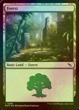 [FOIL] 森/Forest No.286 【英語版】 [MKM-土地C]