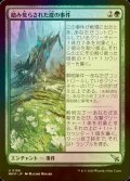 [FOIL] 踏み荒らされた庭の事件/Case of the Trampled Garden 【日本語版】 [MKM-緑U]