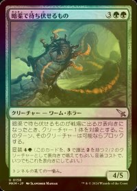 [FOIL] 暗渠で待ち伏せるもの/Culvert Ambusher 【日本語版】 [MKM-緑U]