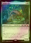 [FOIL] 育殻組の誉れ/The Pride of Hull Clade 【日本語版】 [MKM-緑MR]