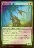 [FOIL] 復讐の忍び寄るもの/Vengeful Creeper 【日本語版】 [MKM-緑C]