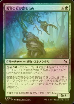 画像1: [FOIL] 復讐の忍び寄るもの/Vengeful Creeper 【日本語版】 [MKM-緑C]