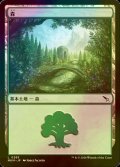 [FOIL] 森/Forest No.285 【日本語版】 [MKM-土地C]