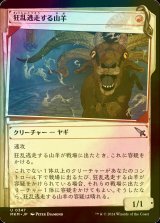 [FOIL] 狂乱逃走する山羊/Frantic Scapegoat (ショーケース版) 【日本語版】 [MKM-赤U]