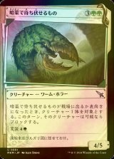 [FOIL] 暗渠で待ち伏せるもの/Culvert Ambusher (ショーケース版) 【日本語版】 [MKM-緑U]