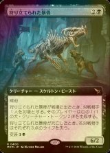 [FOIL] 狩り立てられた暴骨/Hunted Bonebrute (拡張アート版) 【日本語版】 [MKM-黒R]