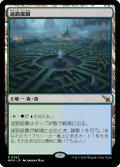 迷路庭園/Hedge Maze 【日本語版】 [MKM-土地R]
