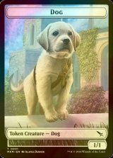 [FOIL] 犬/DOG 【英語版】 [MKM-トークン]