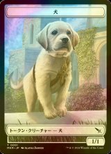 [FOIL] 犬/DOG 【日本語版】 [MKM-トークン]