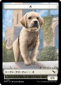 犬/DOG 【日本語版】 [MKM-トークン]