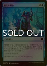 [FOIL] 着実な進歩/Steady Progress 【日本語版】 [MM2-青C]