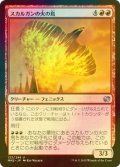 [FOIL] スカルガンの火の鳥/Skarrgan Firebird 【日本語版】 [MM2-赤U]