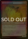 [FOIL] スカルガンの火の鳥/Skarrgan Firebird 【日本語版】 [MM2-赤U]