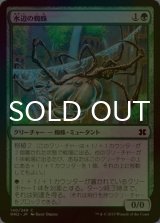 [FOIL] 水辺の蜘蛛/Aquastrand Spider 【日本語版】 [MM2-緑C]