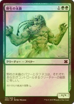 画像1: [FOIL] 野生の末裔/Scion of the Wild 【日本語版】 [MM2-緑C]