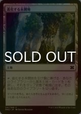 [FOIL] 進化する未開地/Evolving Wilds 【日本語版】 [MM2-土地C]