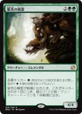 狼茨の精霊/Wolfbriar Elemental 【日本語版】 [MM2-緑R]